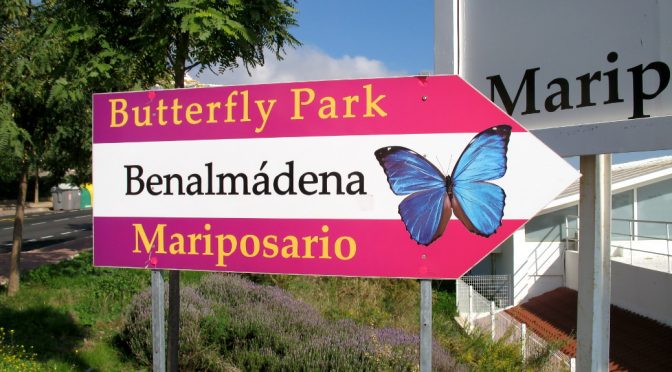 Schmetterlinge ganz aus der Nähe – Mariposario de Benalmádena – Teil 1